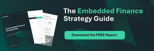 embedded finance guide (2)